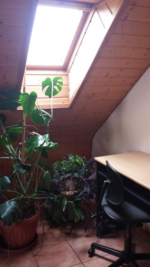 Pension Rosenblick Moerlenbach Bagian luar foto